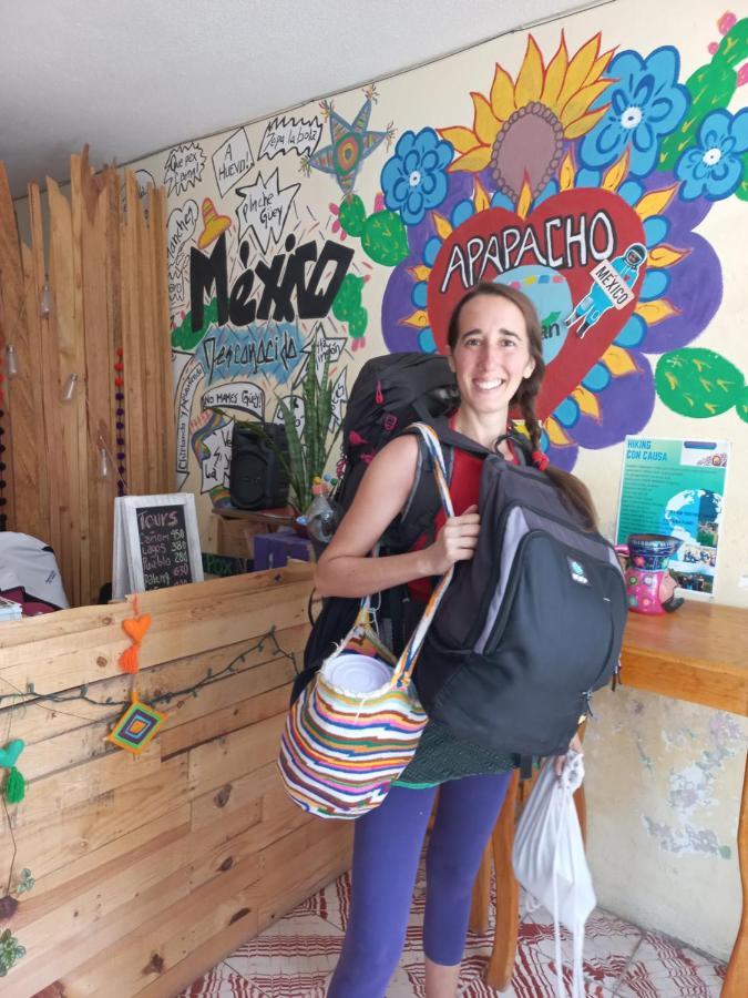 Casa Apapacho Hostel Сан-Кристобаль-де-Ла-Касас Экстерьер фото